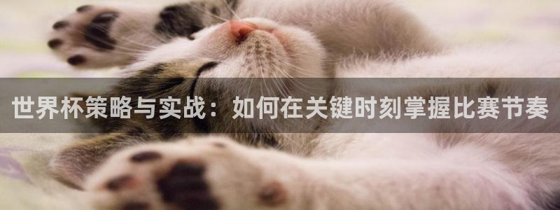 2026年男足世界杯：世界杯策略与实战：如何在关键时刻掌握比赛节奏