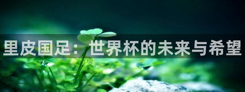 2026年世界杯时间表：里皮国足：世界杯的未来与希望