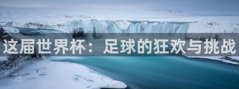 世预赛免费直播入口：这届世界杯：足球的狂欢与挑战