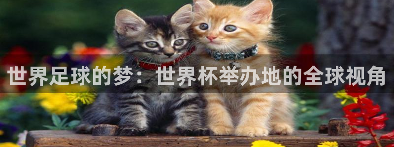 免费足球比赛直播高清：世界足球的梦：世界杯举办地的全球视角