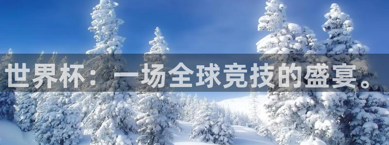 世界杯直播网：世界杯：一场全球竞技的盛宴。