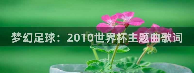 2026年世界杯对阵图：梦幻足球：2010世界杯主题曲歌词
