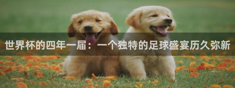2026年男足世界杯：世界杯的四年一届：一个独特的足球盛宴历久弥新