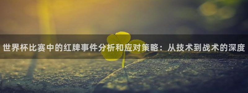 世界杯直播观看：世界杯比赛中的红牌事件分析和应对策略：从技术到战术的深度
