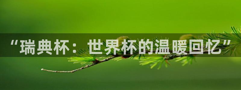 世界杯预选赛直播：“瑞典杯：世界杯的温暖回忆”
