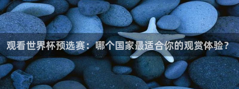 世界杯亚洲预选赛18强赛程：观看世界杯预选赛：哪个国家最适合你的观赏体验？