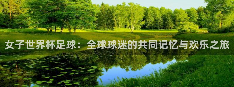 世界杯预选赛欧洲赛区赛程：女子世界杯足球：全球球迷的共同记忆与欢乐之旅