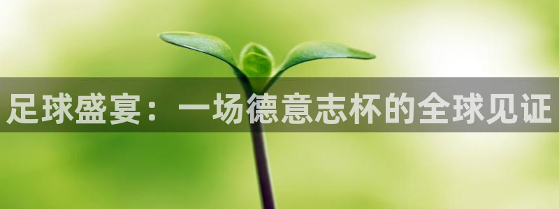 世界杯球赛：足球盛宴：一场德意志杯的全球见证