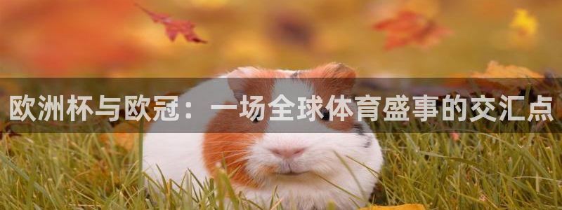 世界杯系列赛：欧洲杯与欧冠：一场全球体育盛事的交汇点