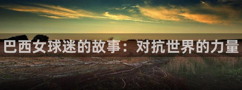 2026世预赛全部赛程：巴西女球迷的故事：对抗世界的力量