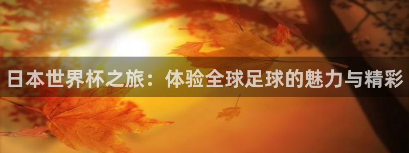 世界杯亚洲区预选赛积分榜：日本世界杯之旅：体验全球足球的魅力与精彩
