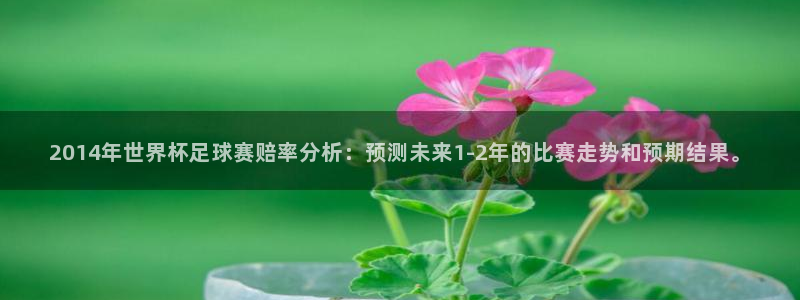 2006年世界杯冠军：2014年世界杯足球赛赔率分析：预测未来1-2年的比赛走势和预期结果。
