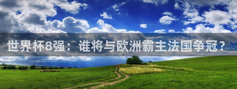 2026年世界杯时间表：世界杯8强：谁将与欧洲霸主法国争冠？