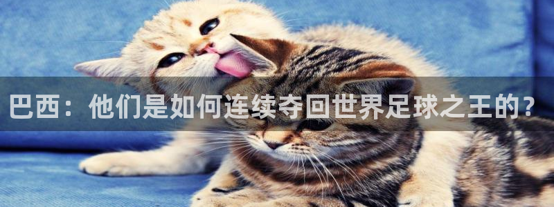 世界杯决赛圈球队：巴西：他们是如何连续夺回世界足球之王的？