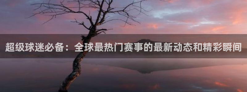 世界杯赛程2026：超级球迷必备：全球最热门赛事的最新动态和精彩瞬间