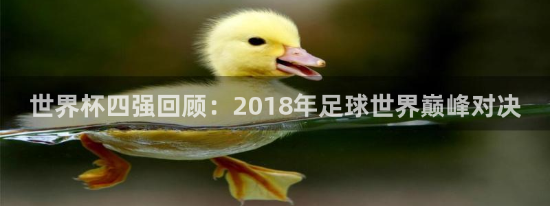 2026世界杯赛程时间表最新：世界杯四强回顾：2018年足球世界巅峰对决