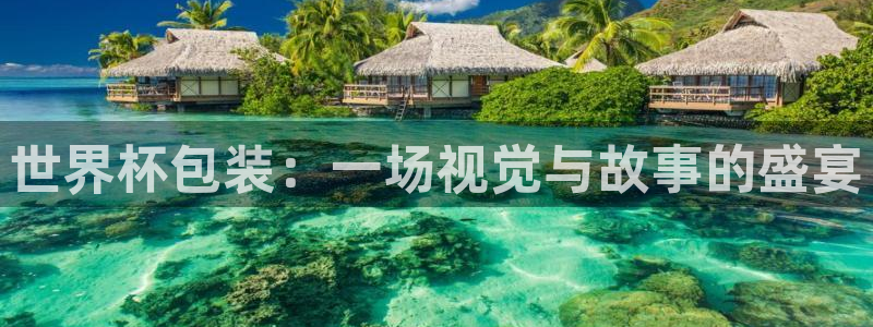足球比分直播世界杯：世界杯包装：一场视觉与故事的盛宴