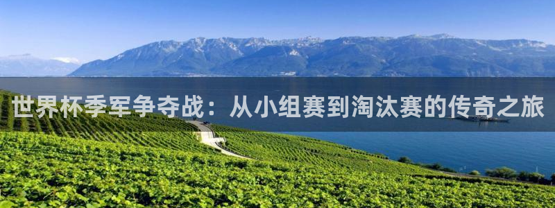 世界杯预选赛赛程：世界杯季军争夺战：从小组赛到淘汰赛的传奇之旅