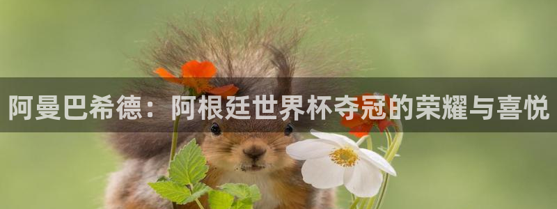 2006年世界杯冠军：阿曼巴希德：阿根廷世界杯夺冠的荣耀与喜悦